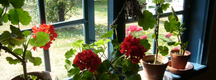 Contact Header Image